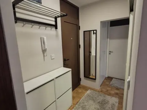 Izdavanje, dvosoban stan, 50m², Novi Beograd Blok 22, Novi Beograd Sve Podlokacije - image 8