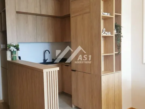 Izdavanje, dvosoban stan, 45m², Centar, Novi Sad - image 3