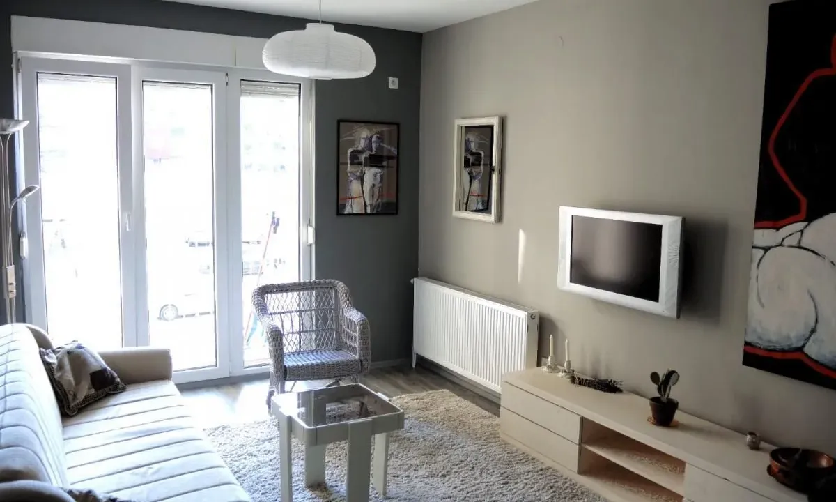 Izdavanje, jednosoban stan, 40m², Detelinara, Novi Sad Sve Podlokacije