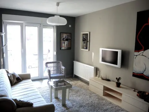 Izdavanje, jednosoban stan, 40m², Detelinara, Novi Sad Sve Podlokacije