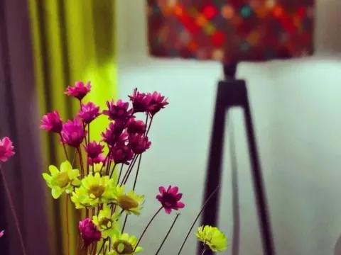 Izdavanje, jednosoban stan, 25m², Ulcinj, Crna Gora - image 7