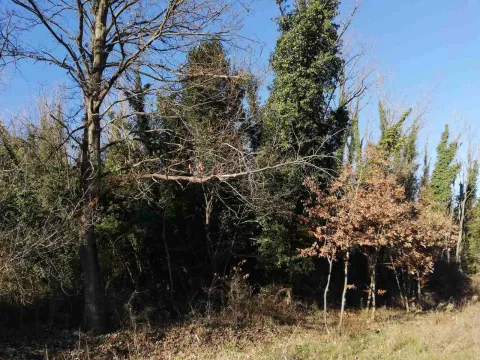 Prodaja, plac, 6100m², Frutak, Danilovgrad - image 11