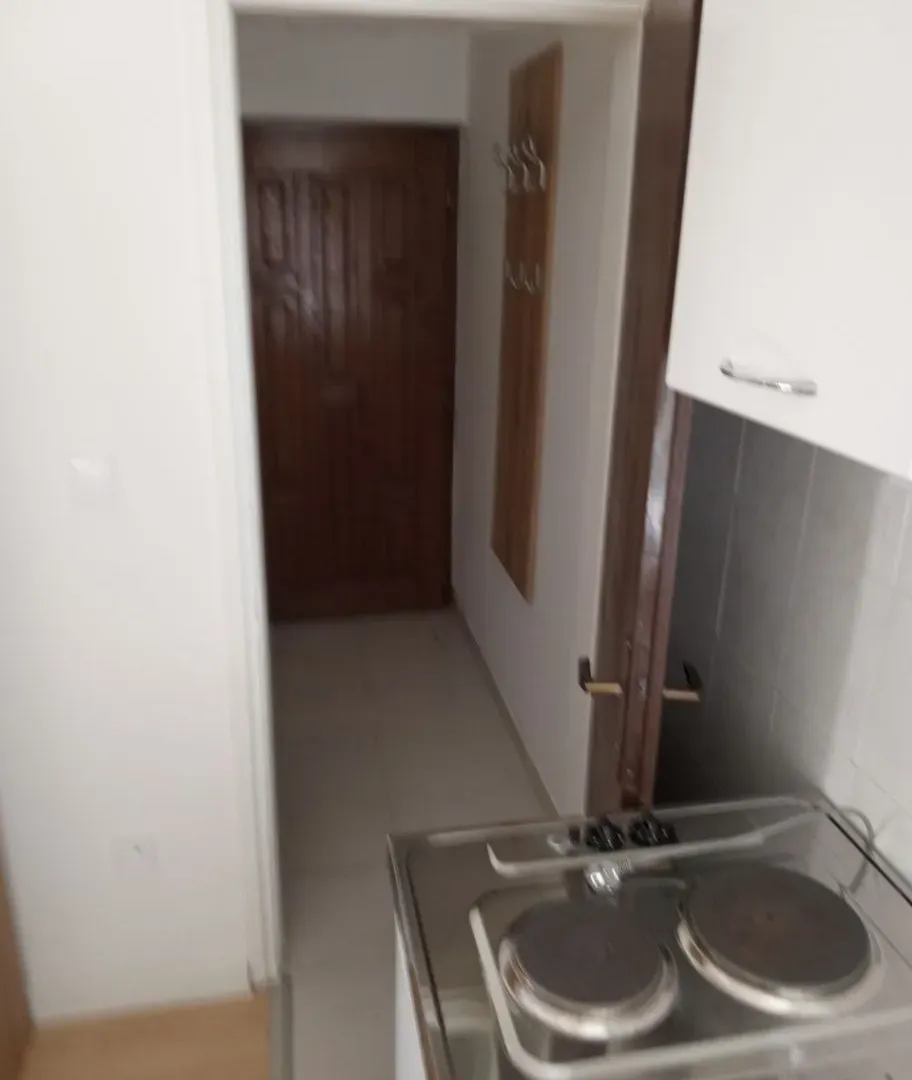 Rent, studio apartment, 22m², Rozino, Budva