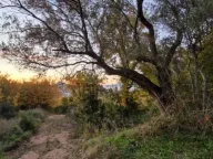 Prodaja, plac, 592m², Dobre Vode, Bar - image 10