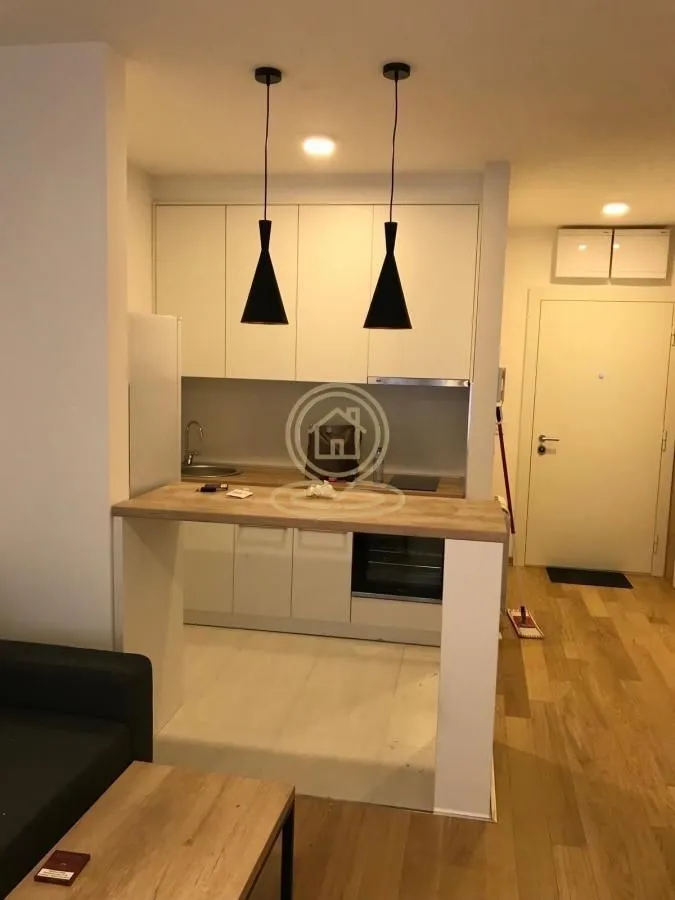 Izdavanje, dvosoban stan, 35m², Južni Bulevar, Vračar Sve Podlokacije