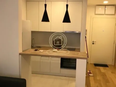 Izdavanje, dvosoban stan, 35m², Južni Bulevar, Vračar Sve Podlokacije - image 10