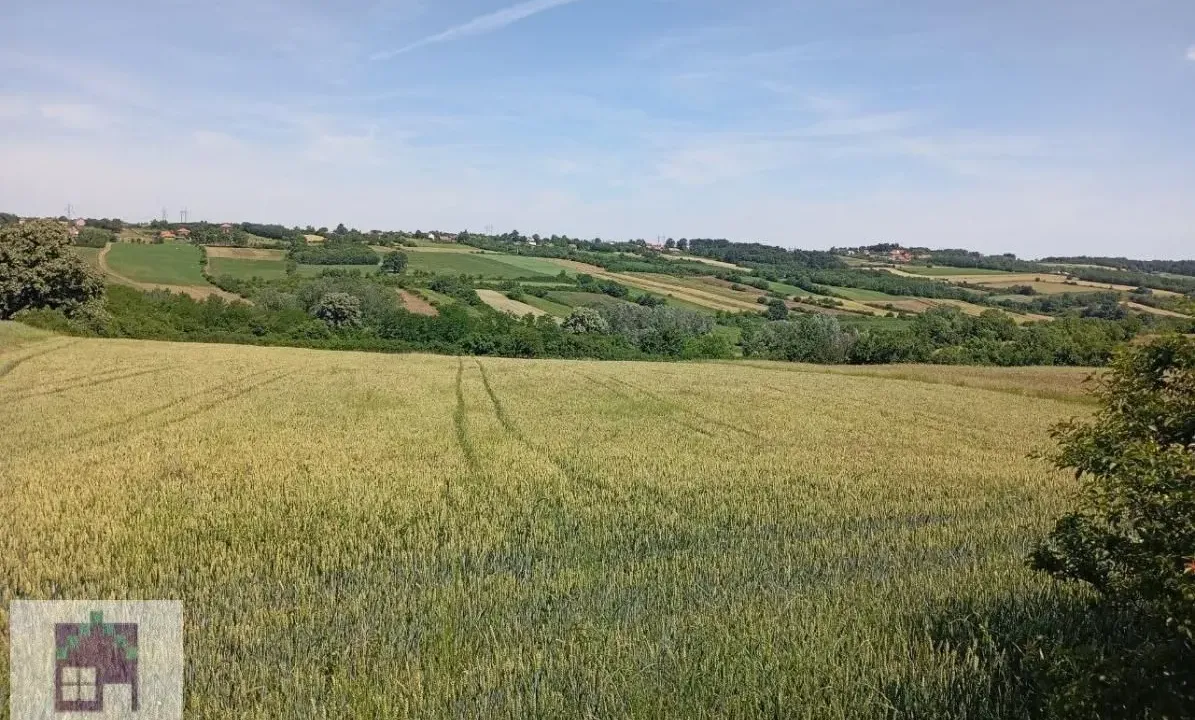 Prodaja, plac, 10000m², Draževac, Obrenovac