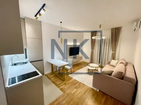 Rent, studio apartment, 26m², Zabjelo, Podgorica - image 2
