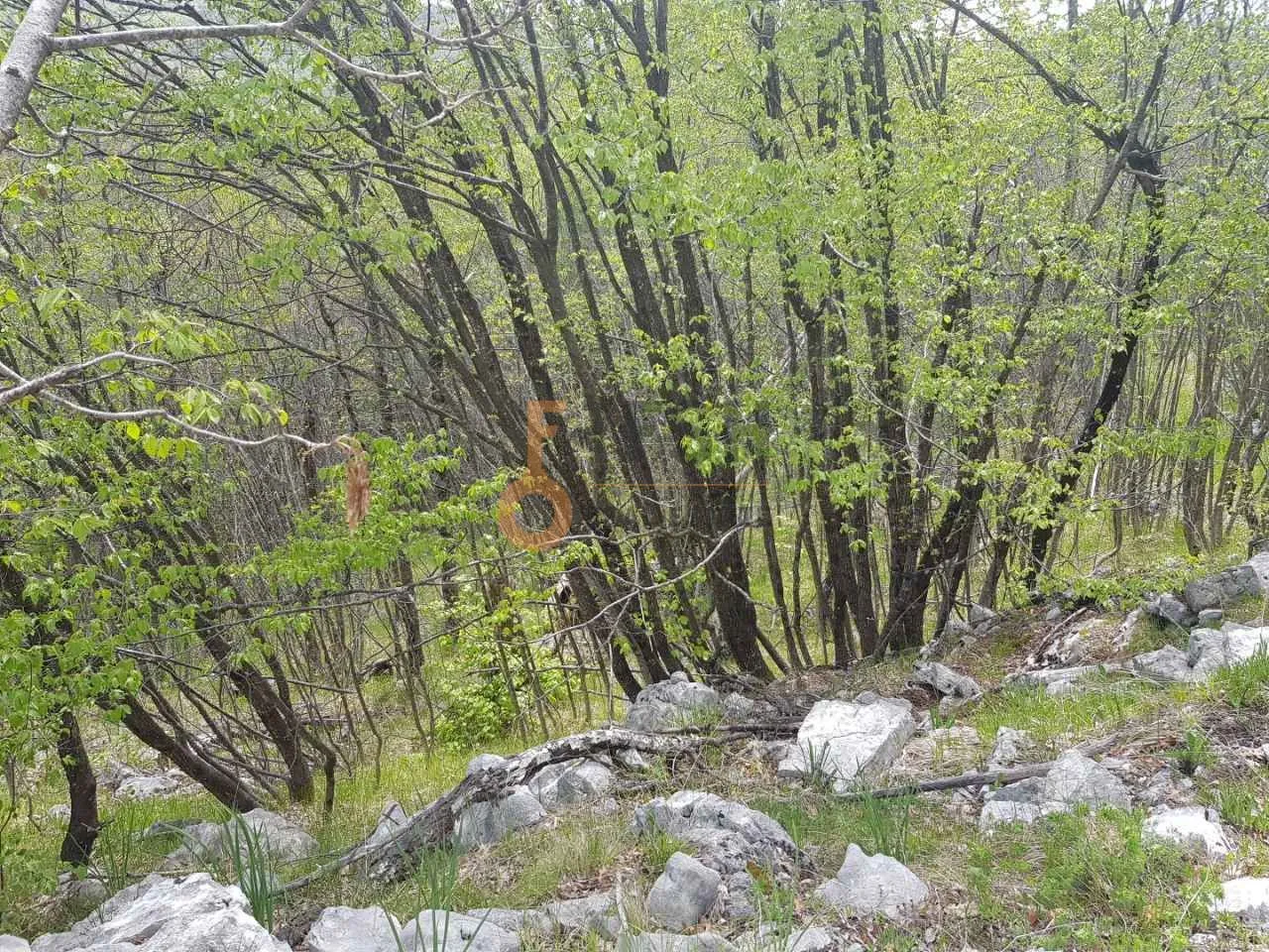 Prodaja, plac, 189352m², Cetinje, Crna Gora