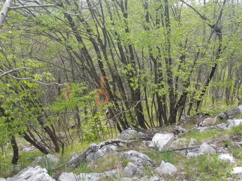 Prodaja, plac, 189352m², Cetinje, Crna Gora - image 12