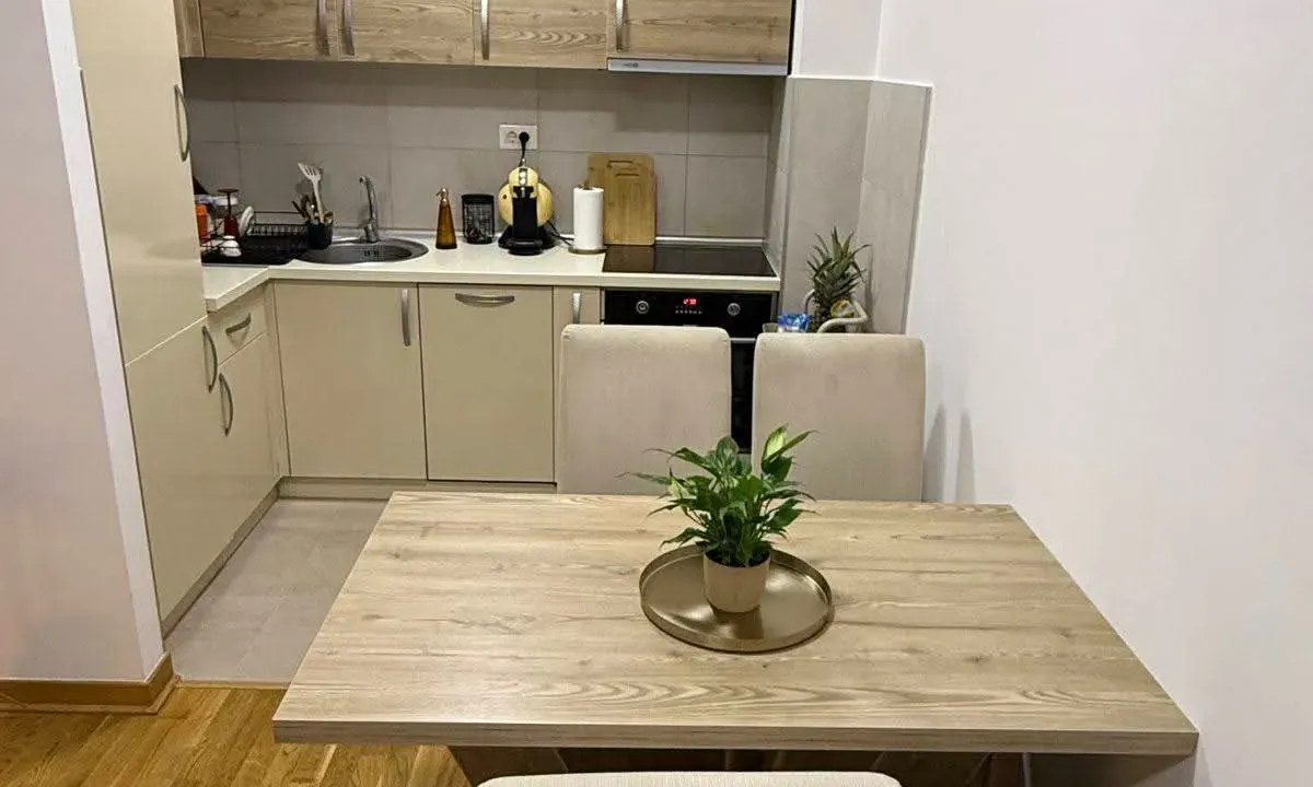 Izdavanje, jednosoban stan, 44m², City Kej, Podgorica