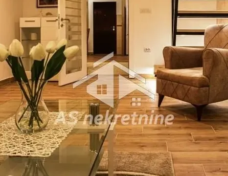 Izdavanje, stan, 74m², Južni Bulevar, Vračar Sve Podlokacije - image 9