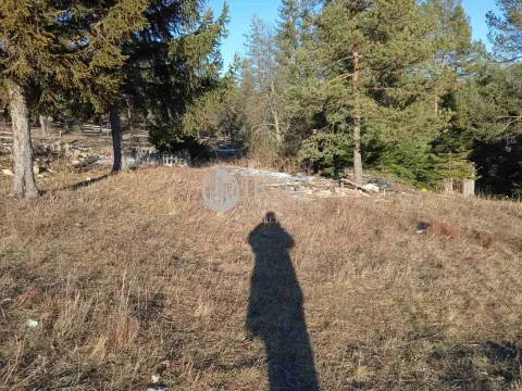 Sale, land lot, 1100m², Tara, Srbija - image 3