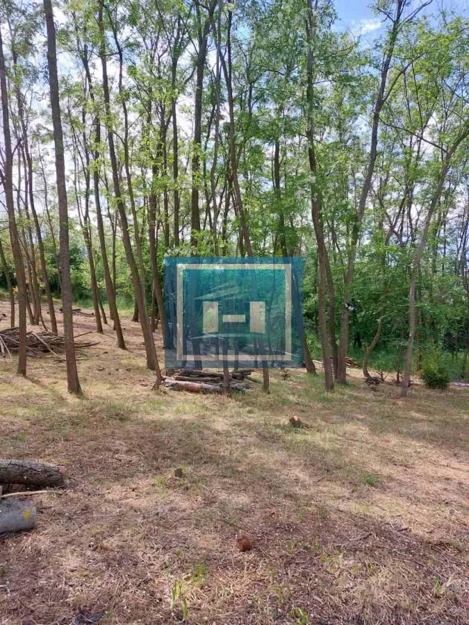 Prodaja, plac, 923m², Đurđevo brdo, Jagodina