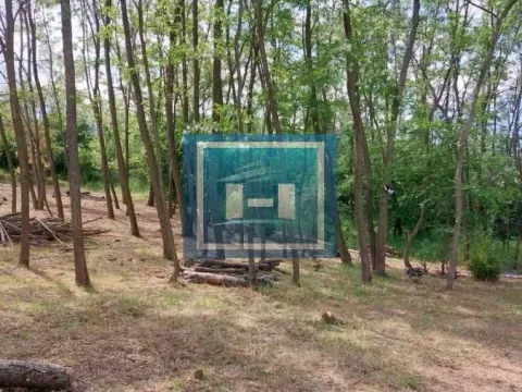 Sale, land lot, 923m², Đurđevo brdo, Jagodina - image 11
