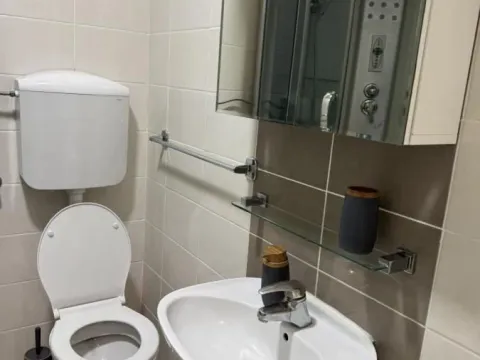 Rent, studio apartment, 24m², Grbavica, Novi Sad Sve Podlokacije - image 14