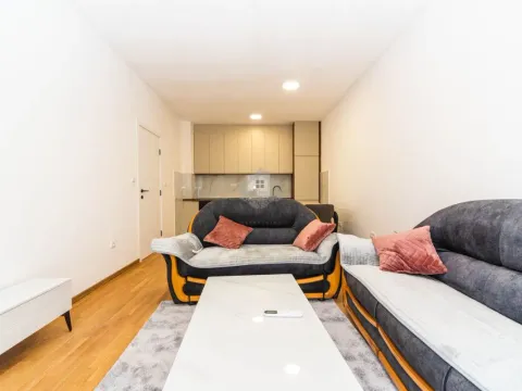 Izdavanje, jednosoban stan, 47m², Zabjelo, Podgorica - image 2