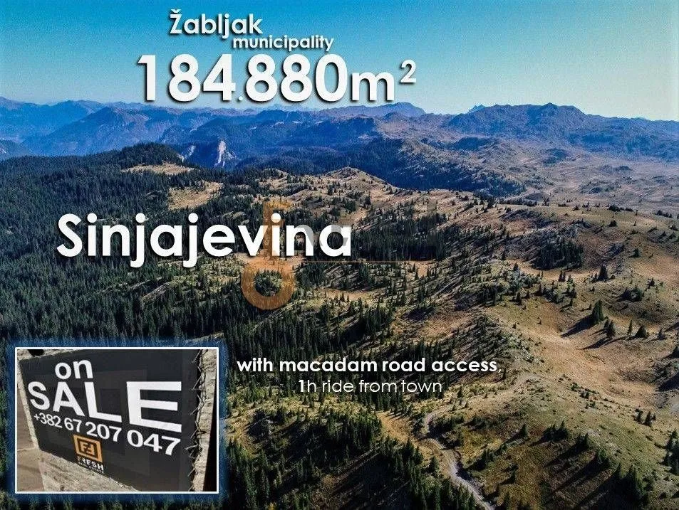 Prodaja, plac, 184880m², Žabljak, Crna Gora