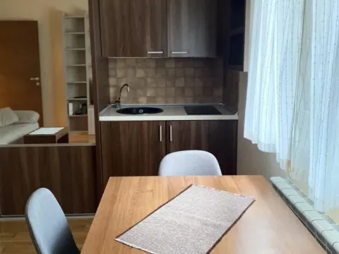 Rent, one bedroom apartment, 42m², Sajmište, Novi Sad - image 5