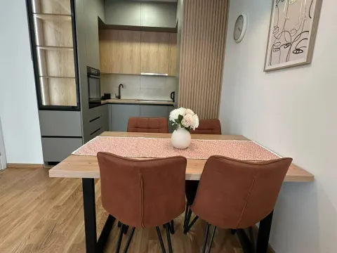 Rent, one bedroom apartment, 47m², Zabjelo, Podgorica - image 2