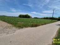 Prodaja, ugostiteljski objekat, 491m², Čenej, Novi Sad Sve Podlokacije - image 7