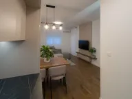 Izdavanje, jednosoban stan, 47m², Stari Aerodrom, Podgorica - image 11