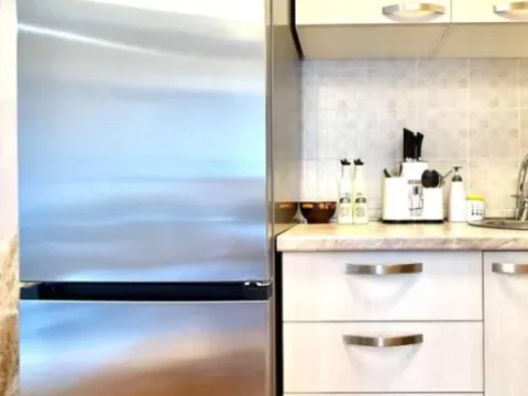 Izdavanje, garsonjera, 30m², Tuški Put, Podgorica - image 10