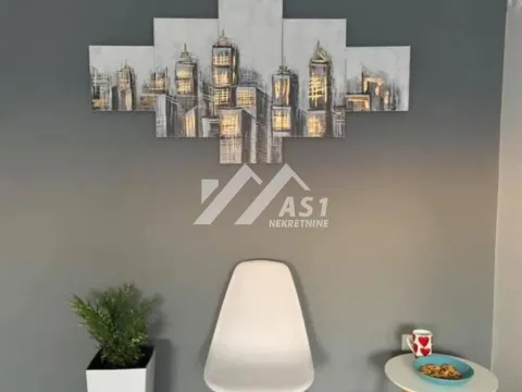 Izdavanje, stan, 28m², Bulevar Oslobodjenja, Novi Sad Sve Podlokacije - image 3