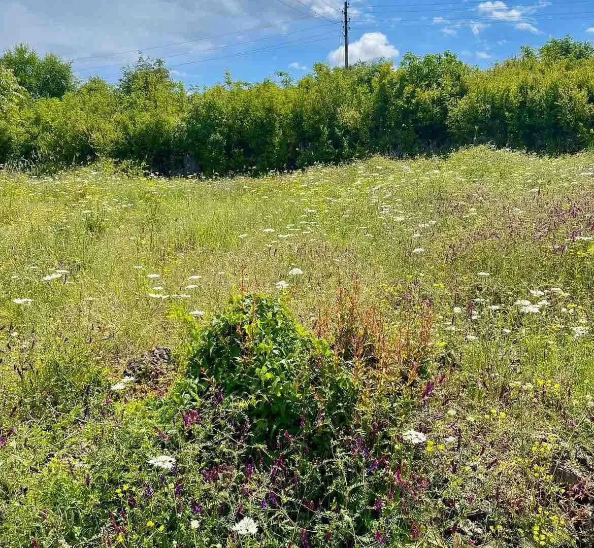 Prodaja, plac, 3000m², Danilovgrad, Crna Gora