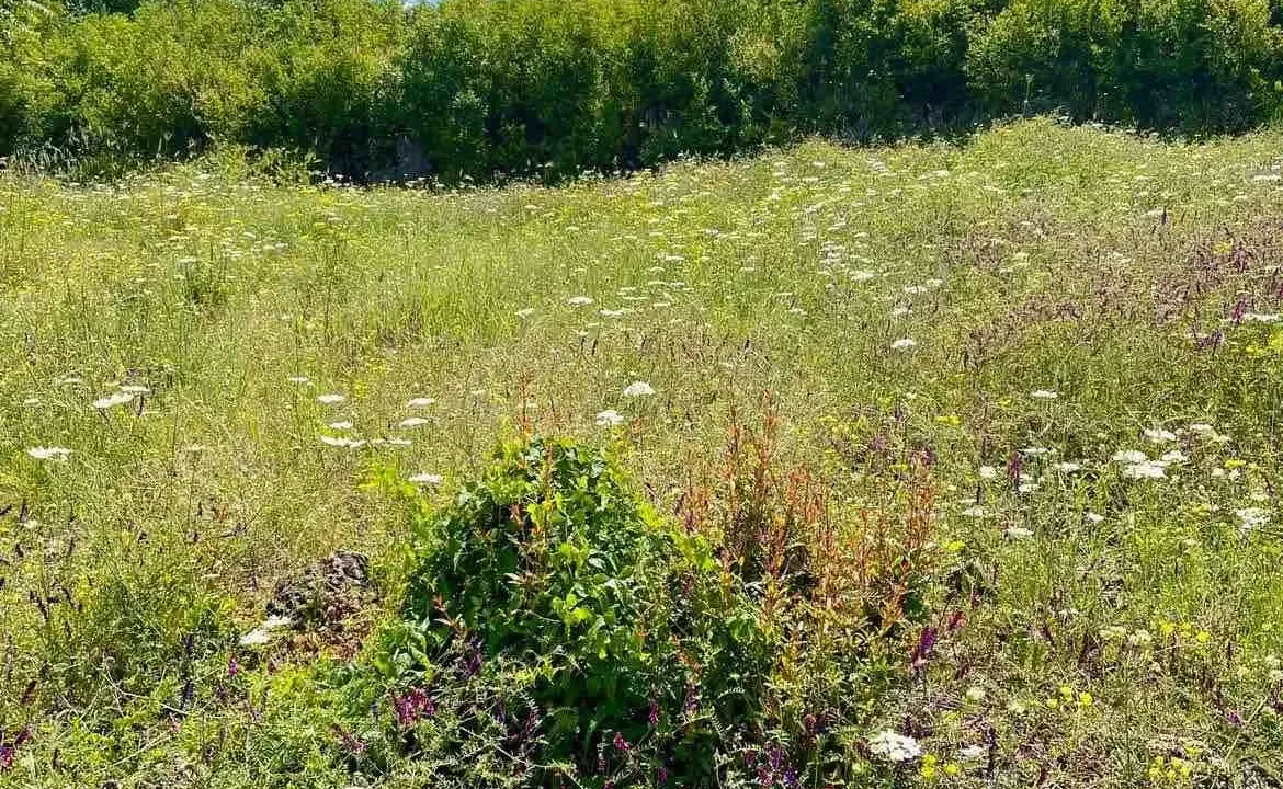 Prodaja, plac, 3000m², Danilovgrad, Crna Gora