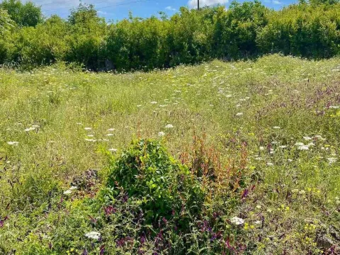 Prodaja, plac, 3000m², Danilovgrad, Crna Gora