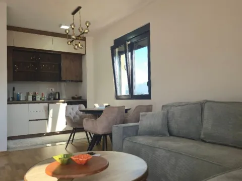 Izdavanje, jednosoban stan, 46m², Zabjelo, Podgorica - image 12