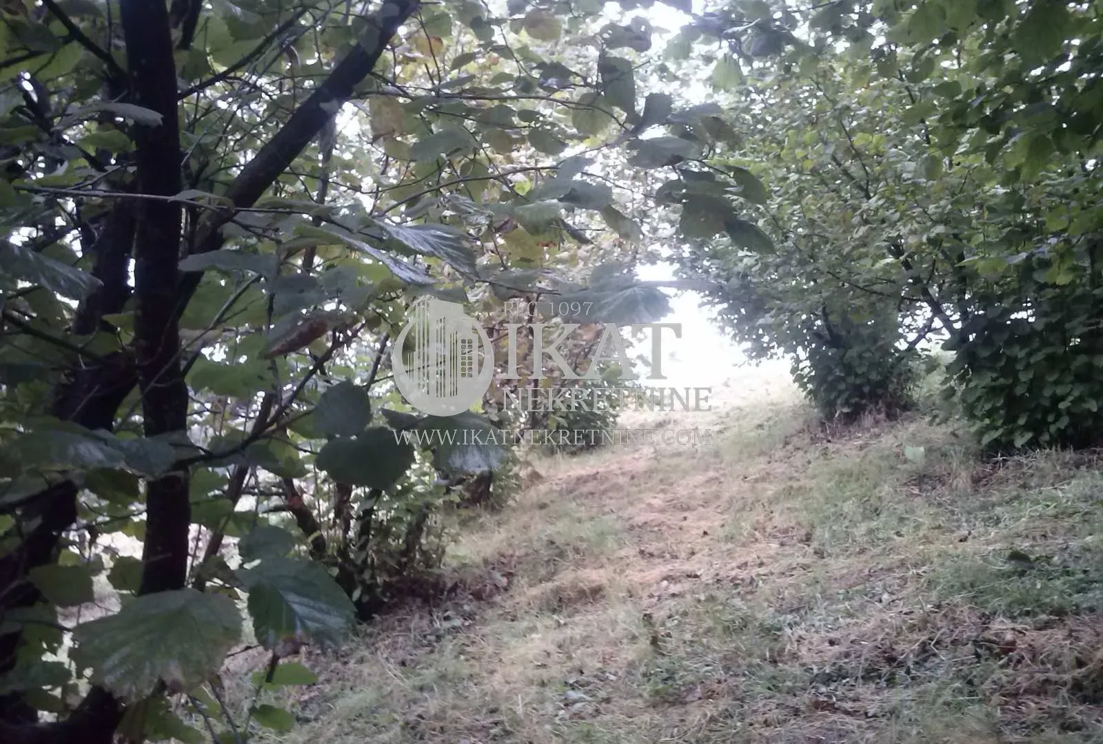 Prodaja, plac, 21500m², Pora, Užice