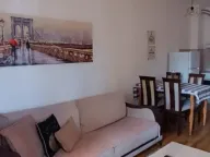 Izdavanje, jednosoban stan, 45m², Tuški Put, Podgorica - image 4