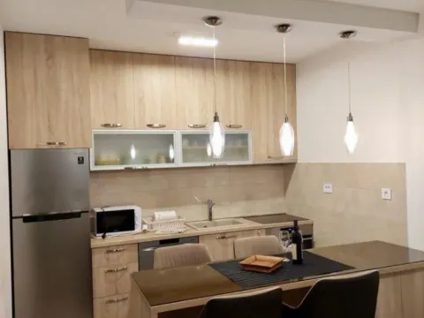 Izdavanje, jednosoban stan, 50m², Ljubović, Podgorica - image 2