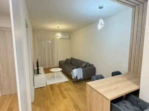 Izdavanje, jednosoban stan, 42m², Central Point, Podgorica - image 10