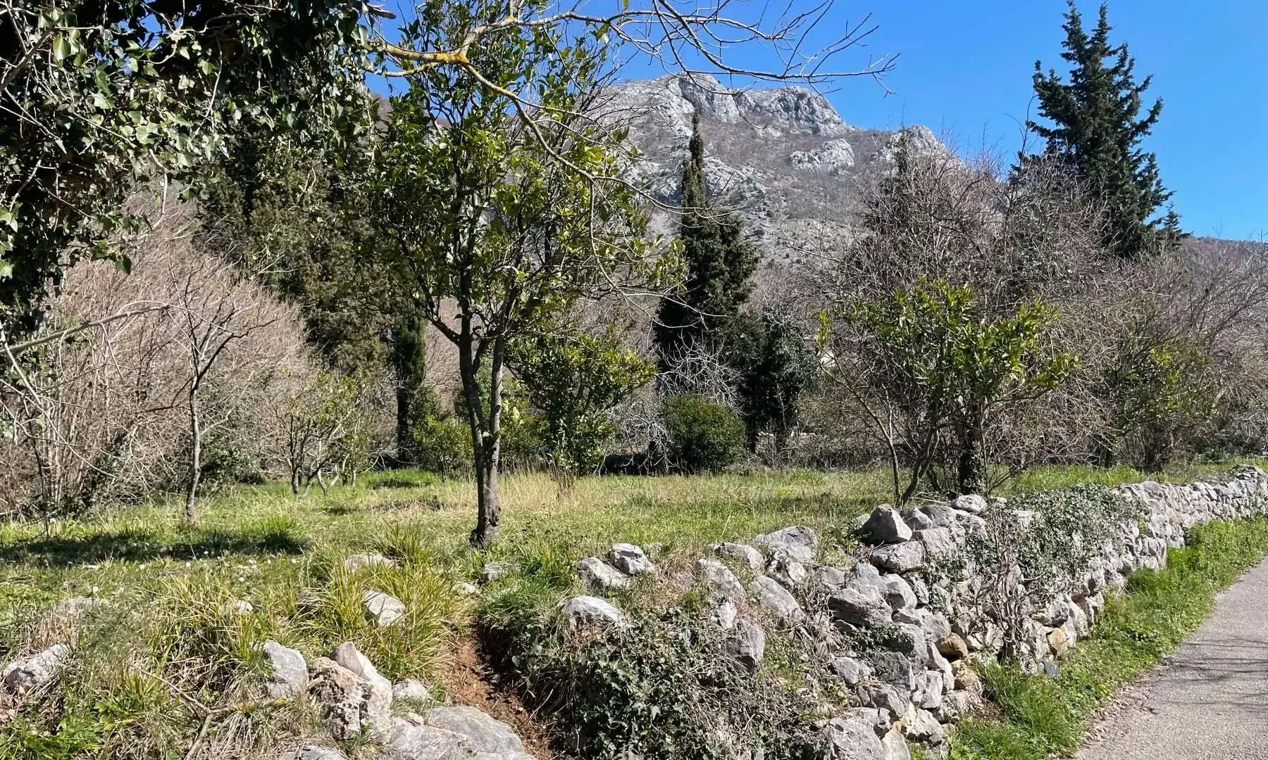 Prodaja, plac, 500m², Buljarica, Budva