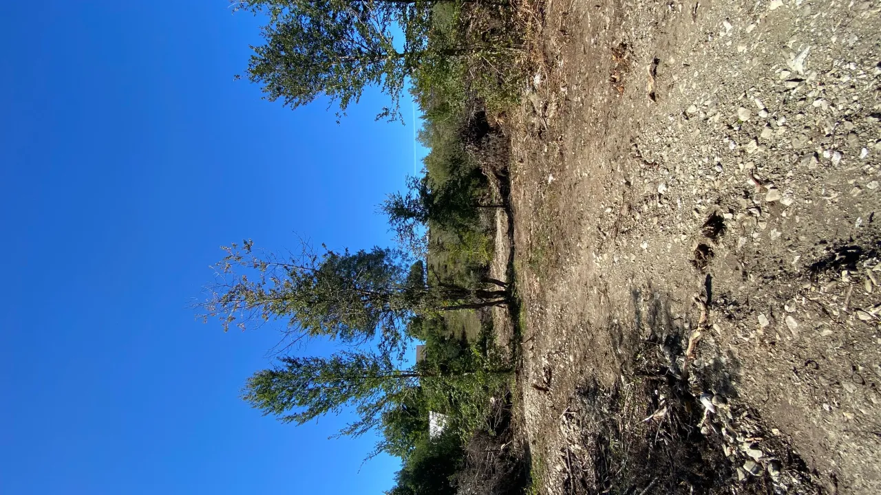 Prodaja, plac, 2500m², Veruša, Podgorica