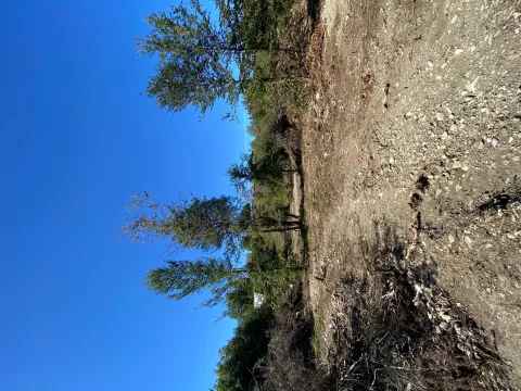 Prodaja, plac, 2500m², Veruša, Podgorica - image 1