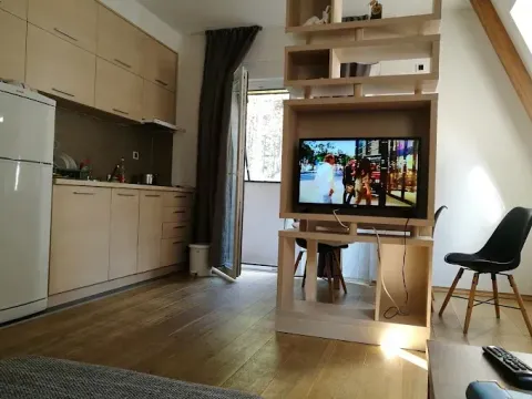 Prodaja, dvosoban stan, 44m², Rudine, Zlatibor - image 7