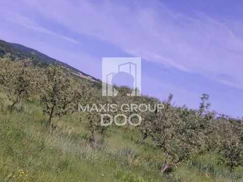 Prodaja, plac, 64800m², Kosmaj, Sopot - image 3