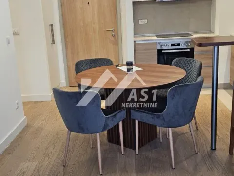 Izdavanje, dvosoban stan, 54m², Stari Grad, Beograd - image 4