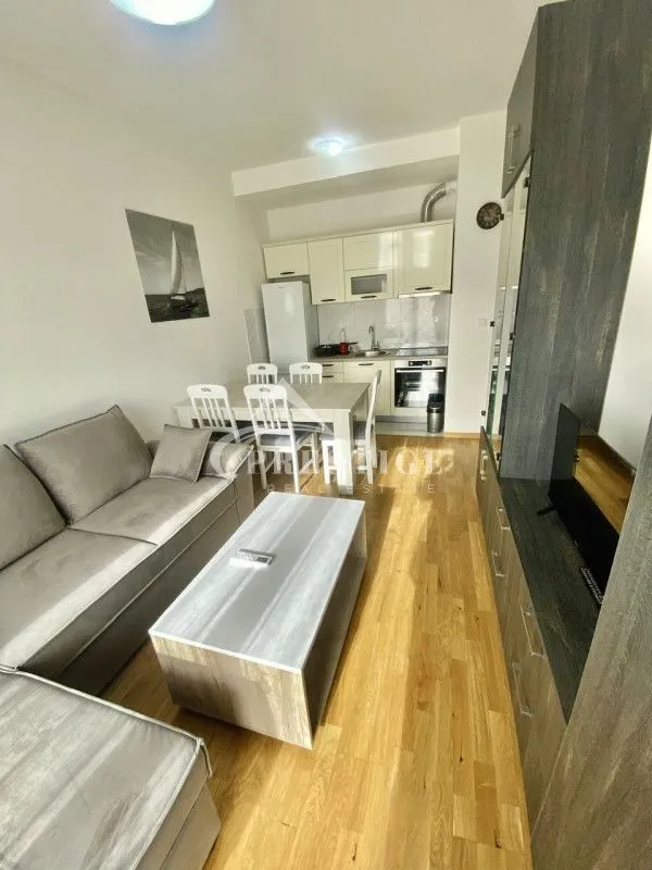 Rent, one bedroom apartment, 40m², Zabjelo, Podgorica
