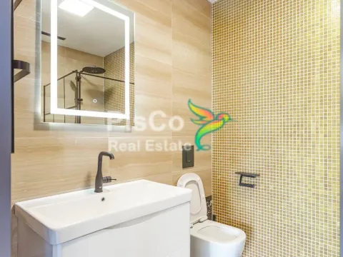 Izdavanje, jednosoban stan, 43m², Centar, Podgorica - image 2