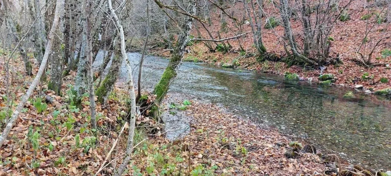 Sale, land lot, 10000m², Kolašin, Crna Gora
