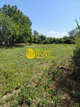 Pogled na zelenu parcelu sa drvećem i rastinjem. - image 3