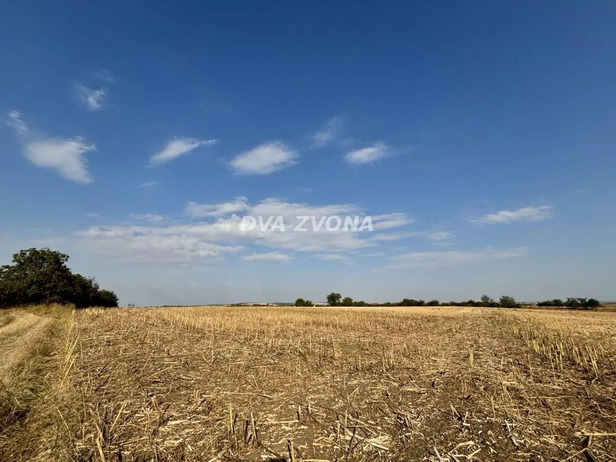 Prodaja, plac, 3600m², Čortanovci, Inđija