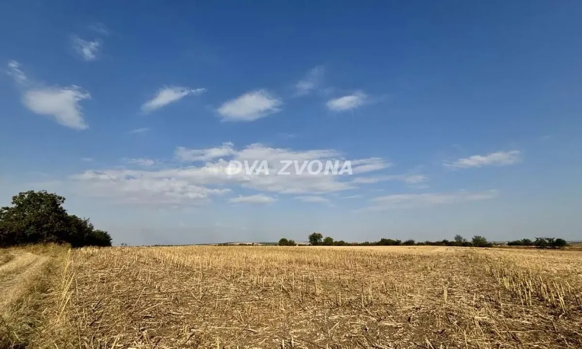 Sale, land lot, 3600m², Čortanovci, Inđija