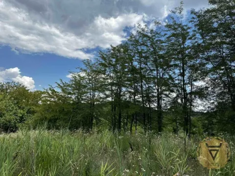 Sale, land lot, 4600m², Vrčin, Grocka - image 8