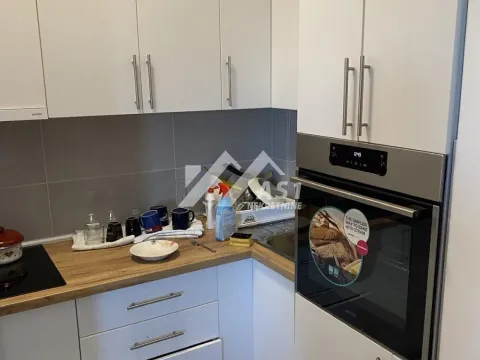 Rent, one bedroom apartment, 43m², Sremska Kamenica, Petrovaradin - image 3